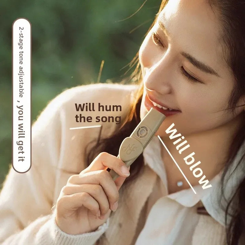 NFAUDIO Professional Kazoo Performance Grade CNFAUDIO Professional Performance Kazoo – Acoustic Companion Instrument for Guitar and Vocal Harmonyacahueta Guitar Accompaniment Instrument Acoustic Engineering from Mainland China - All you need