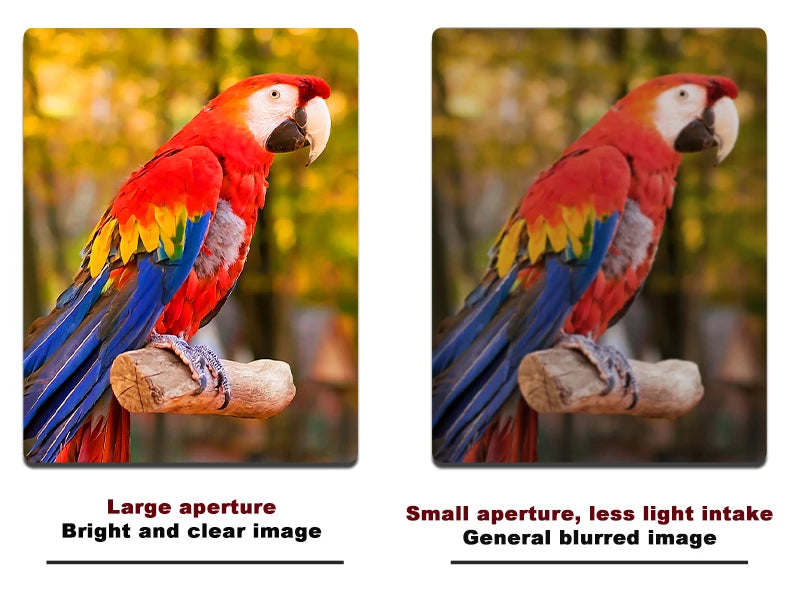 🔭 Product Title (English): 25–75x60 Spotting Scope Monocular Telescope with BAK4 Prism and ED Lens – For Outdoor Observation - All you need